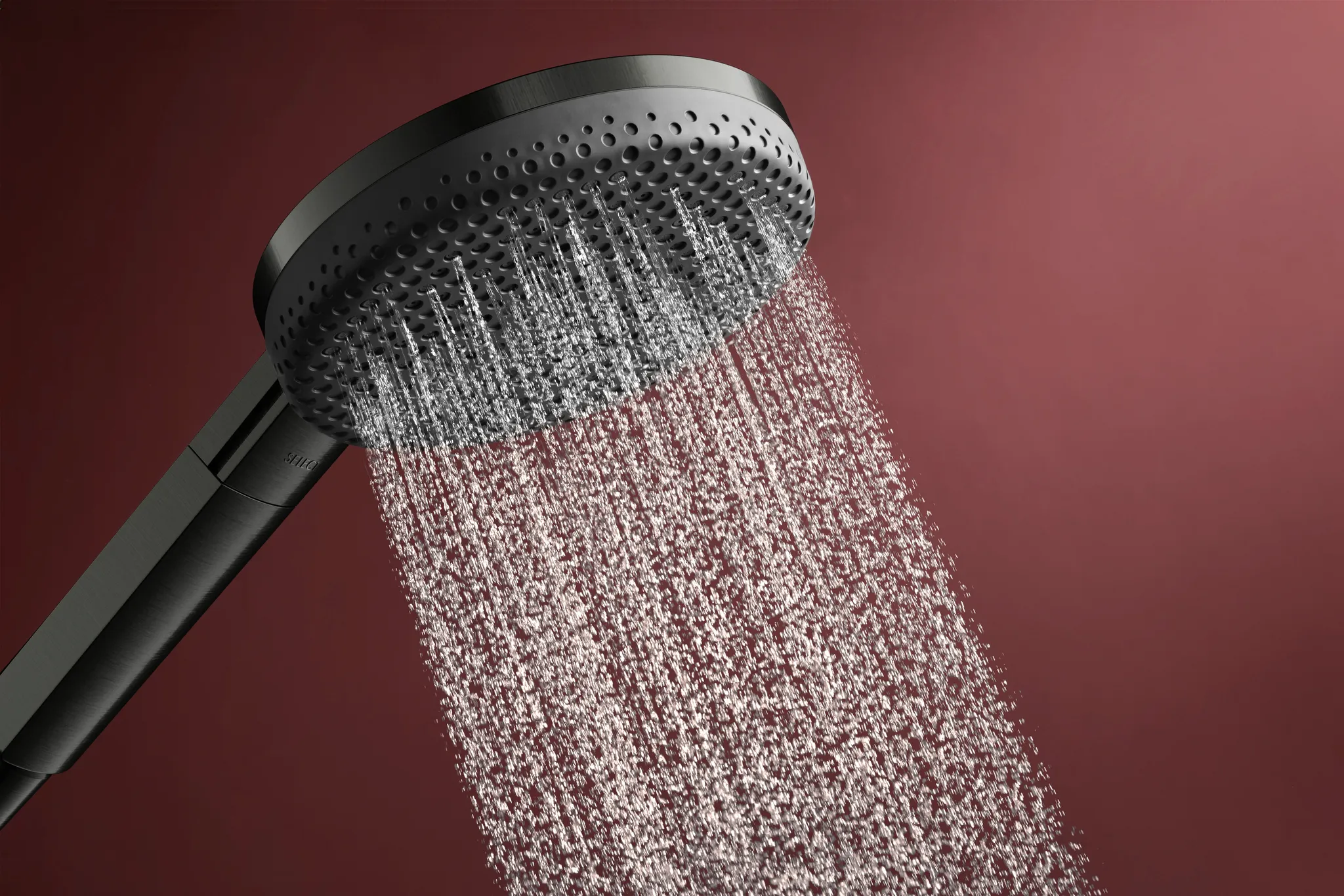 Hansgrohe Handbrause Raindance Alive Select S, 125 mm Brausekopfgröße, Brushed Black Chrome, 3 Strahlarten, QuickClean, Durchflussregler 12 l/min