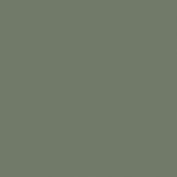 Olive Matt Lacquer
