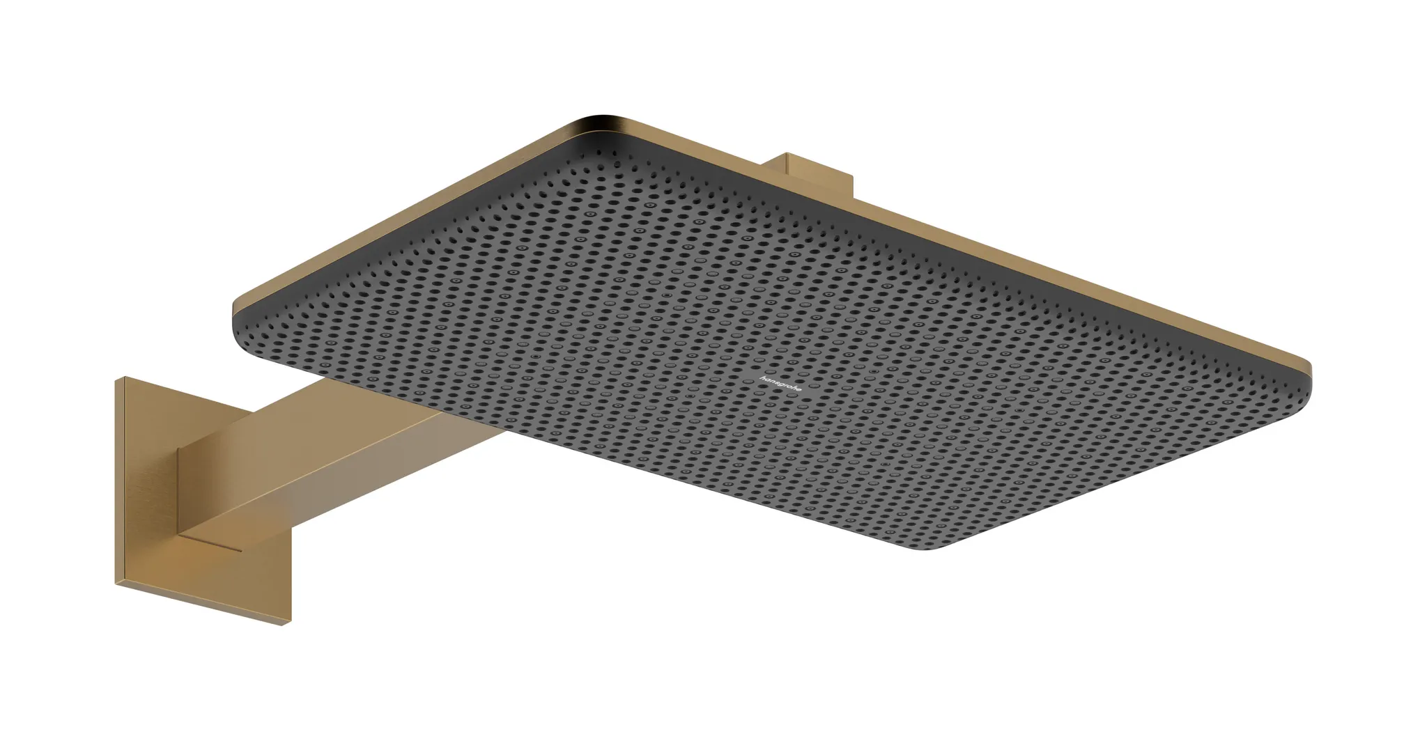 Duschkopf „Raindance Alive Q“ in Brushed Bronze