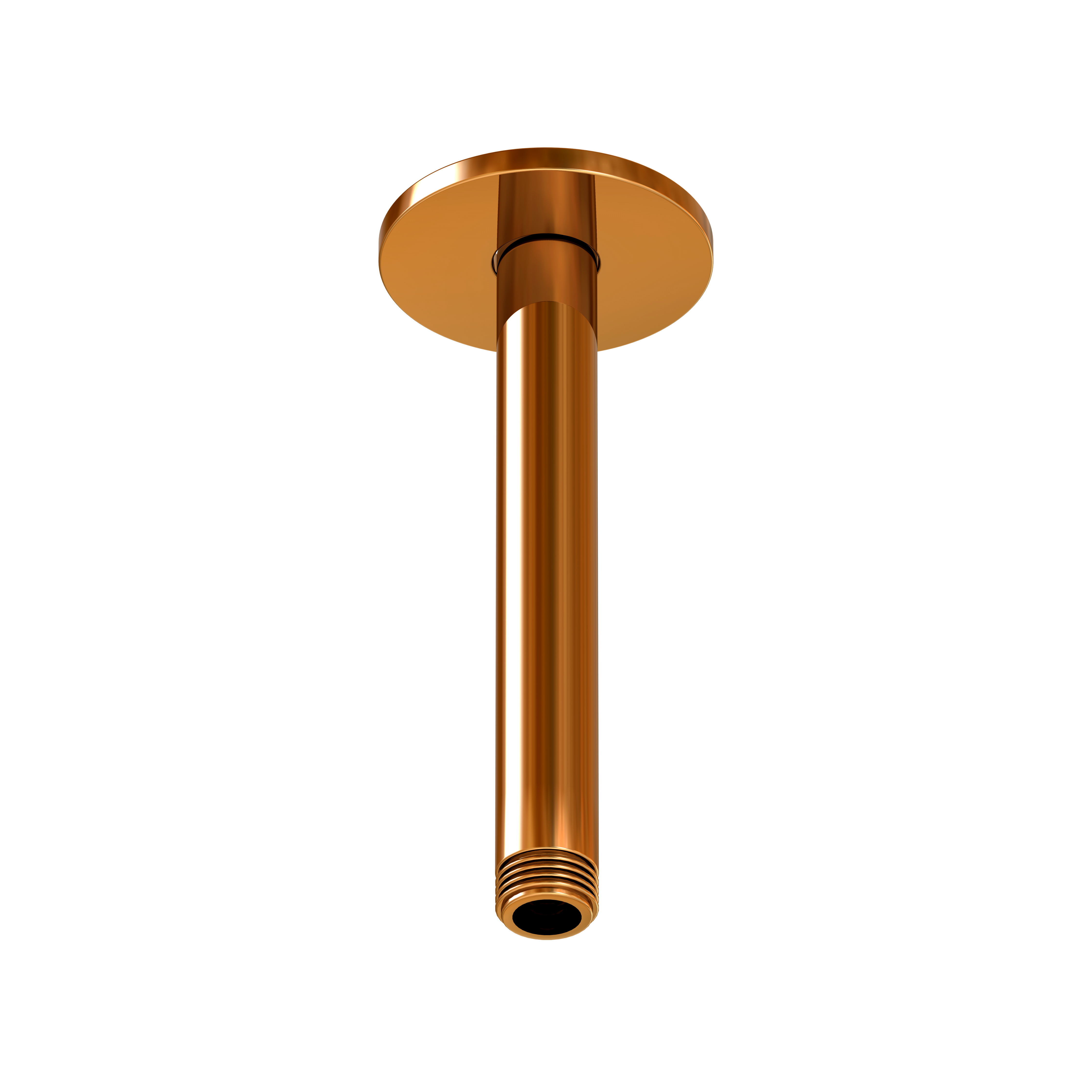 Serie 100 Brausearm Deckenmontage 12 cm Serie 100 Brausearm Deckenmontage 12 cm