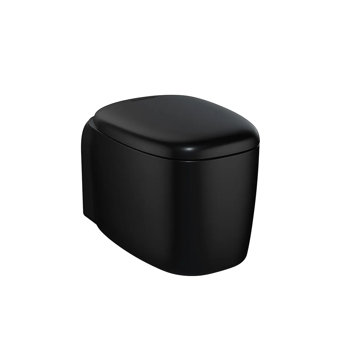 Plural Tiefspüler-Wand-WC Flush 2.0 ohne Spülrand mit verdeckter Befestigung V-Fit 2.0 36 x 55 cm Schwarz Matt mit Oberflächenveredelung Clean Plural Tiefspüler-Wand-WC Flush 2.0 ohne Spülrand mit verdeckter Befestigung V-Fit 2.0 36 x 55 cm Schwarz Matt mit Oberflächenveredelung Clean