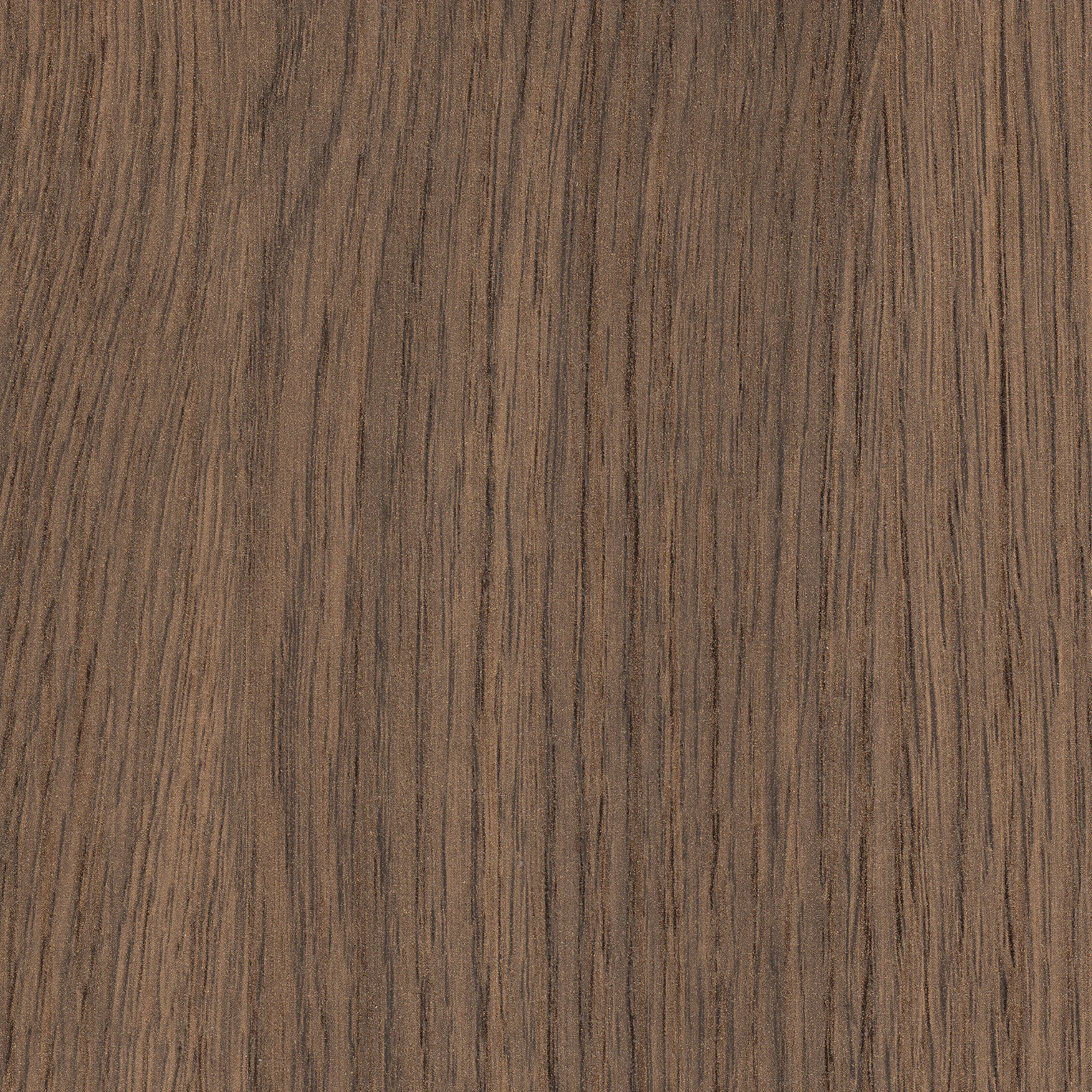 Eiche-Arizona Sanipa Abdeckplatte „2morrow“ in Eiche Arizona, 1003 × 521 × 16 mm