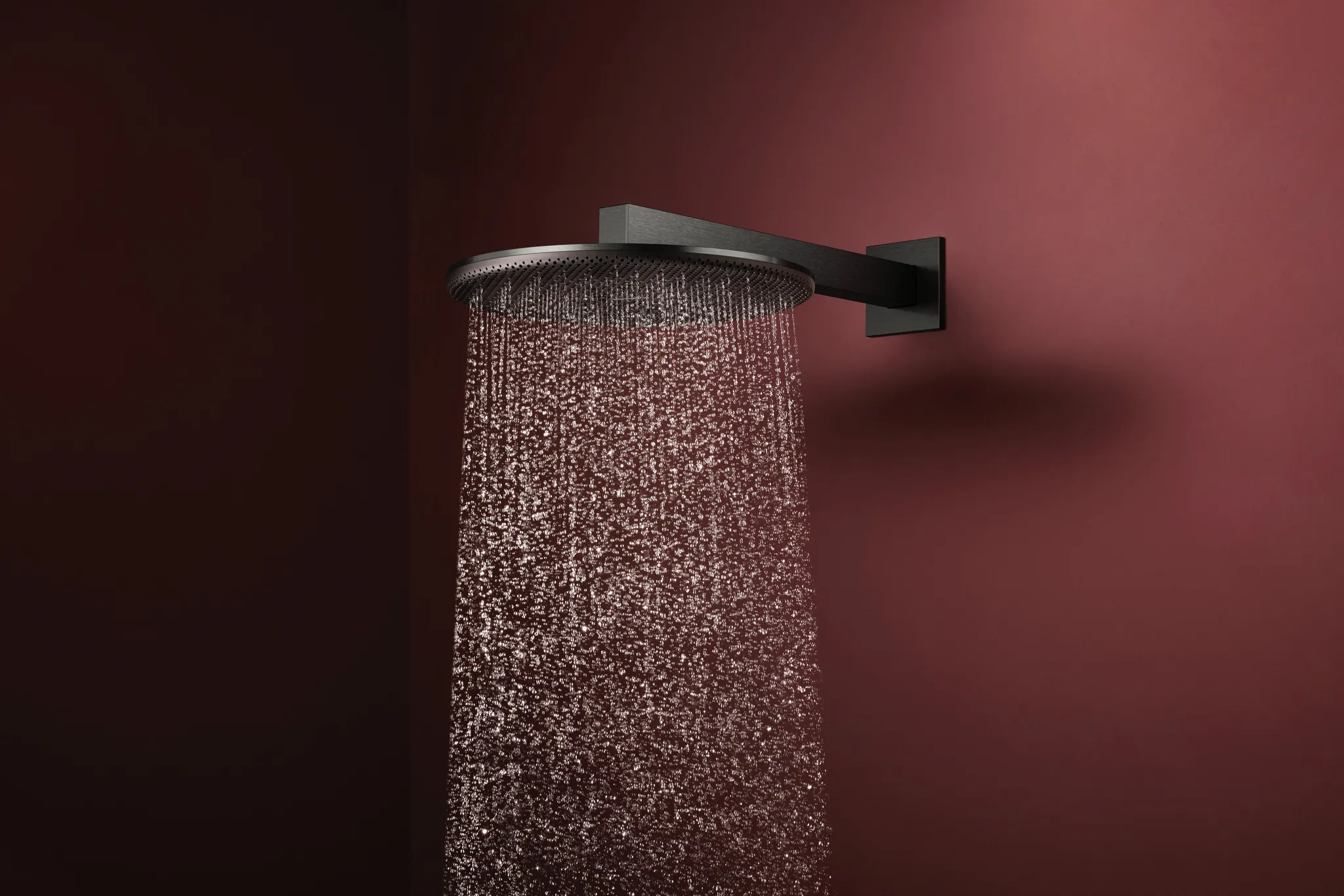 Duschkopf „Raindance Alive S“ in Brushed Black Chrome Duschkopf „Raindance Alive S“ in Brushed Black Chrome