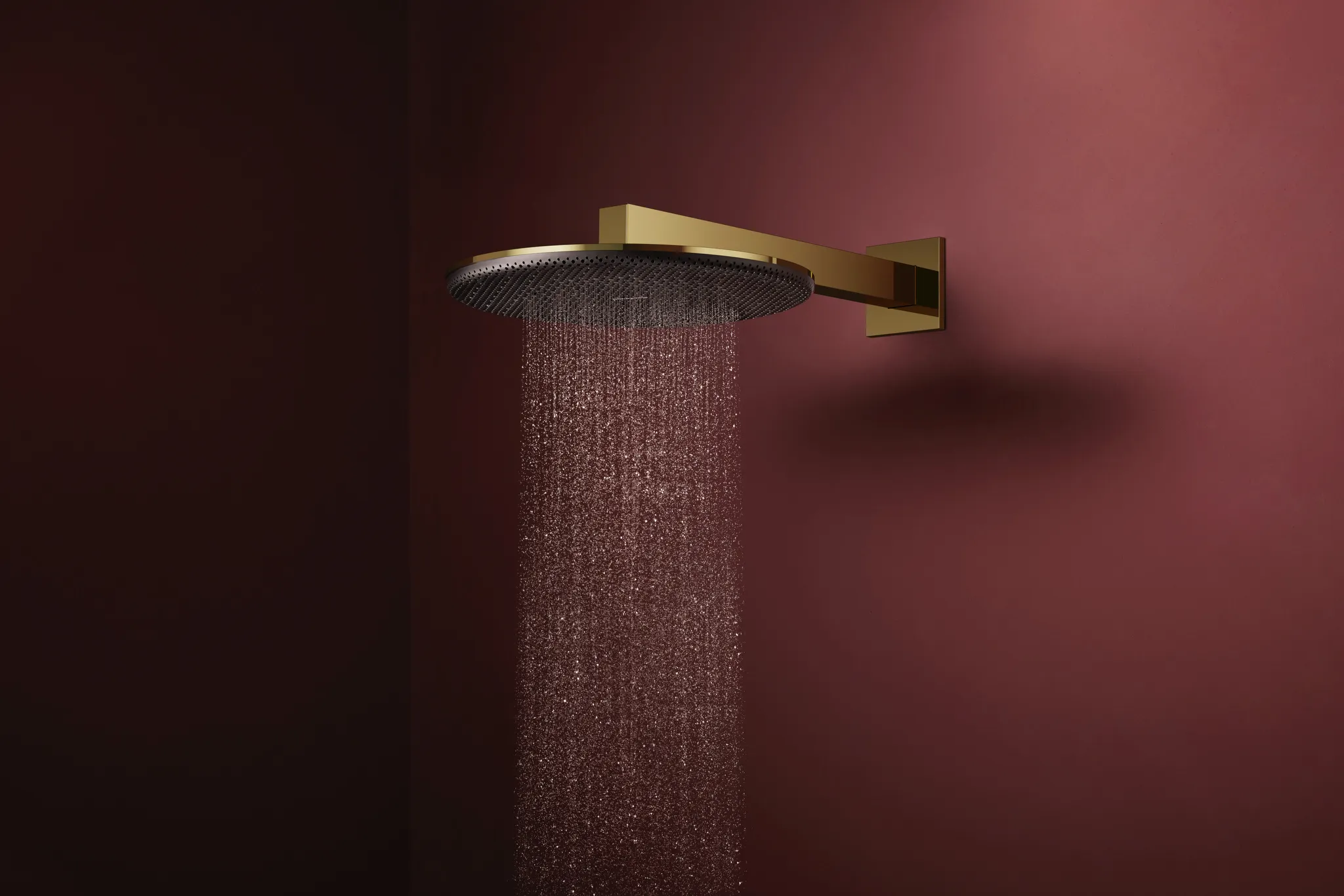Duschkopf „Raindance Alive S“ in Polished Gold Optic Duschkopf „Raindance Alive S“ in Polished Gold Optic