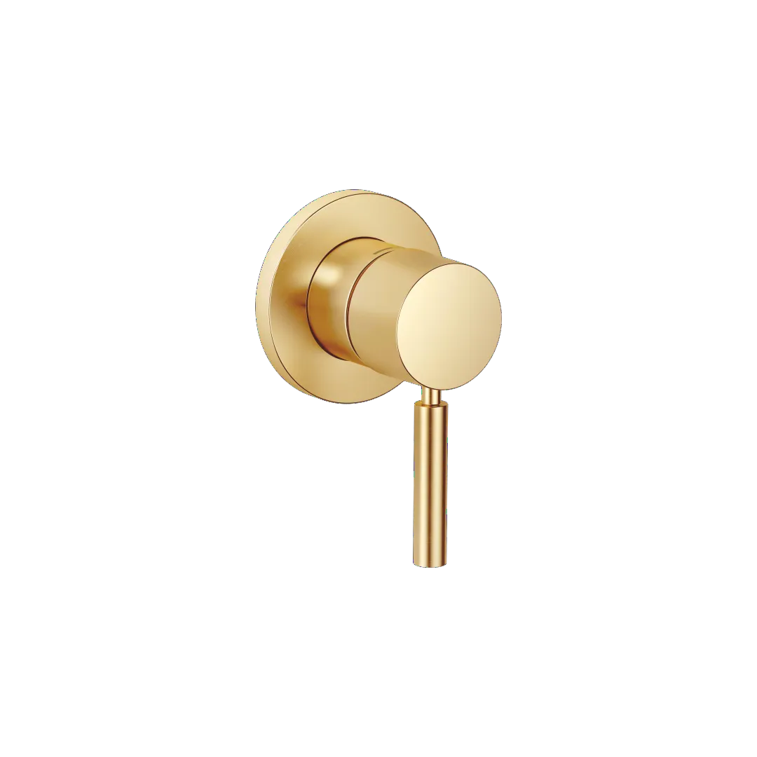 Dornbracht UP-Einhandbatterie mit Abdeckplatte - Messing gebürstet (23kt Gold) Dornbracht UP-Einhandbatterie mit Abdeckplatte - Messing gebürstet (23kt Gold)