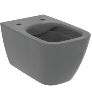 WC „i.lifeB“ 35,5 × 33,5 × 54 cm in Grau WC „i.lifeB“ 35,5 × 33,5 × 54 cm in Grau
