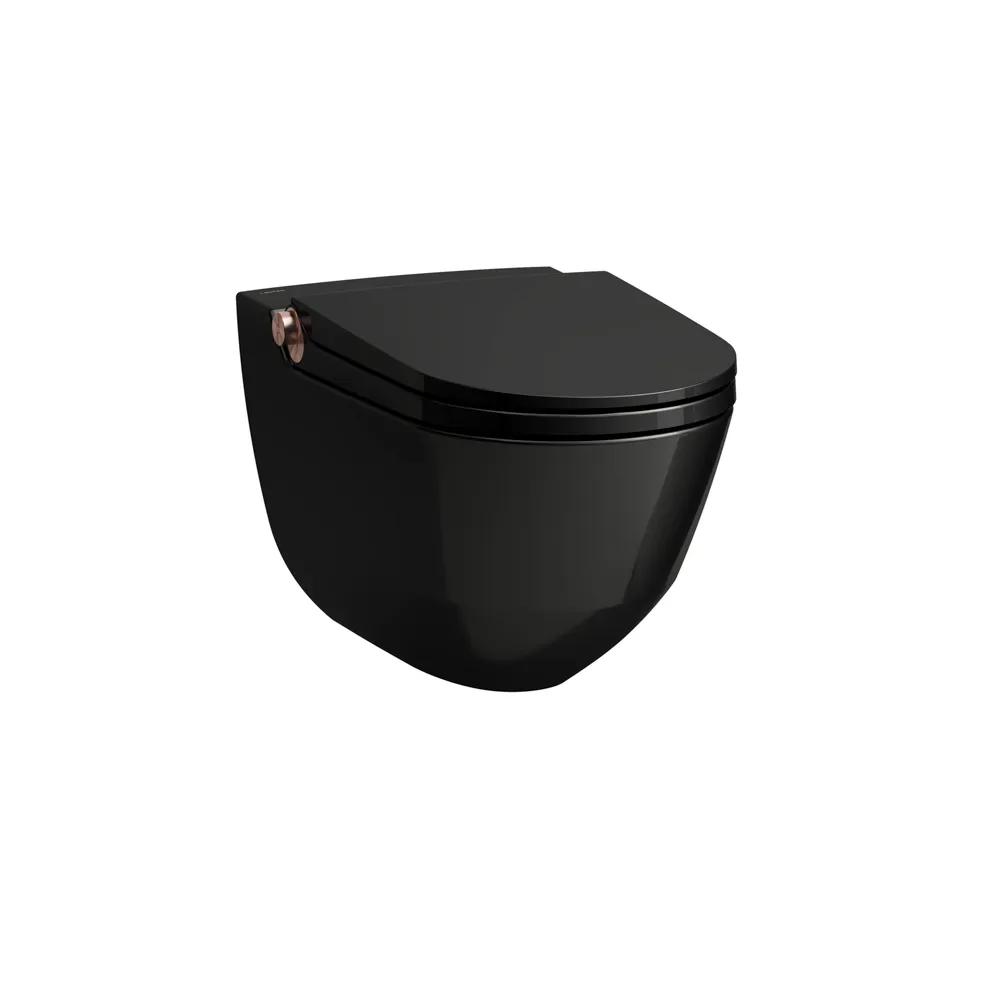 Laufen Wand-Dusch-Tiefspül-WC „Cleanet Riva“ 395 × 415 × 600 mm in Schwarz glänzend, Sichtteile Roségold glänzend, Befestigung verdeckt Laufen Wand-Dusch-Tiefspül-WC „Cleanet Riva“ 395 × 415 × 600 mm in Schwarz glänzend, Sichtteile Roségold glänzend, Befestigung verdeckt