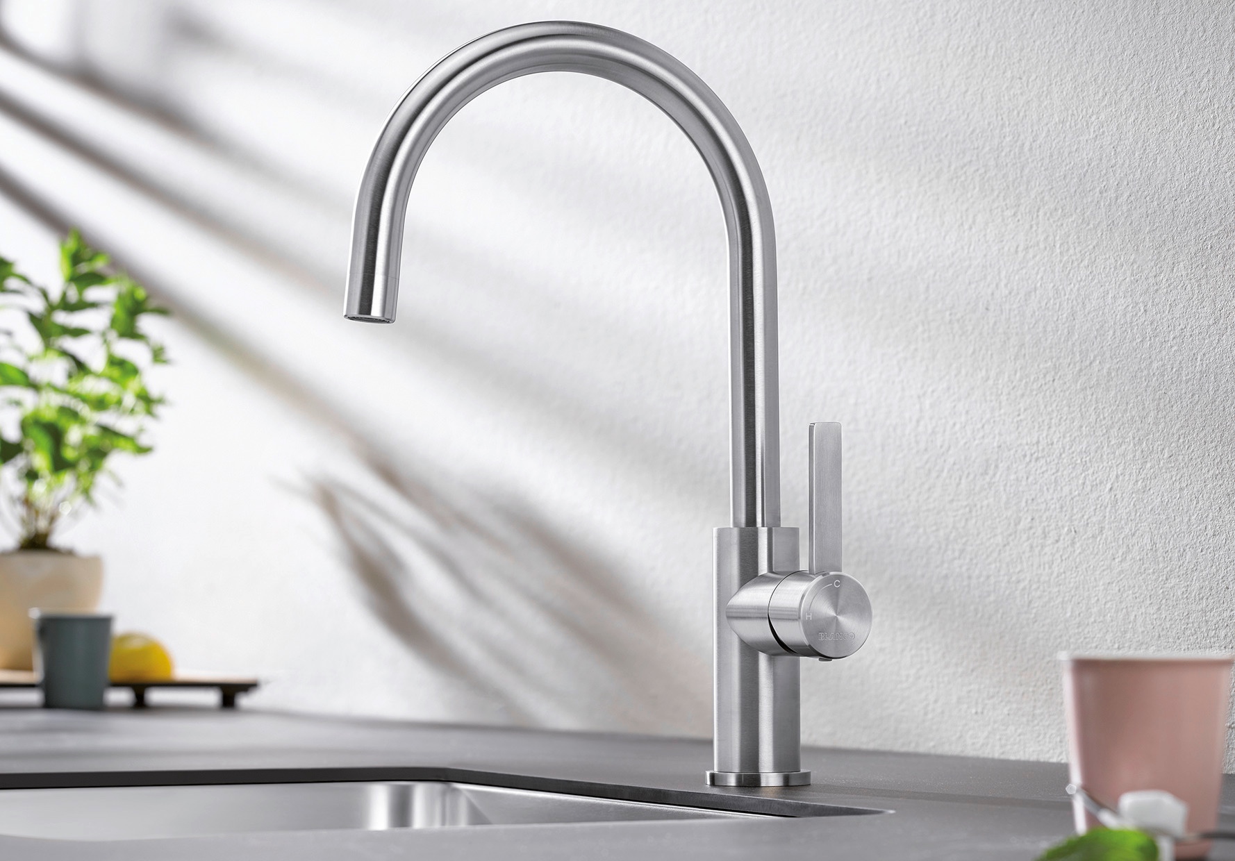 BLANCO CANDOR BLANCO CANDOR