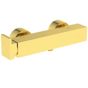 Brausearmatur Aufputz Extra Brushed Gold