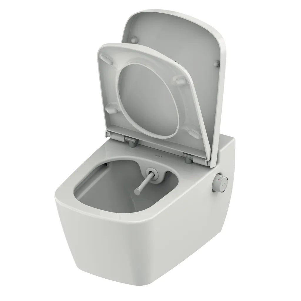 TECE Dusch-WC „one“, Befestigung verdeckt, ohne Spülrand TECE Dusch-WC „one“, Befestigung verdeckt, ohne Spülrand