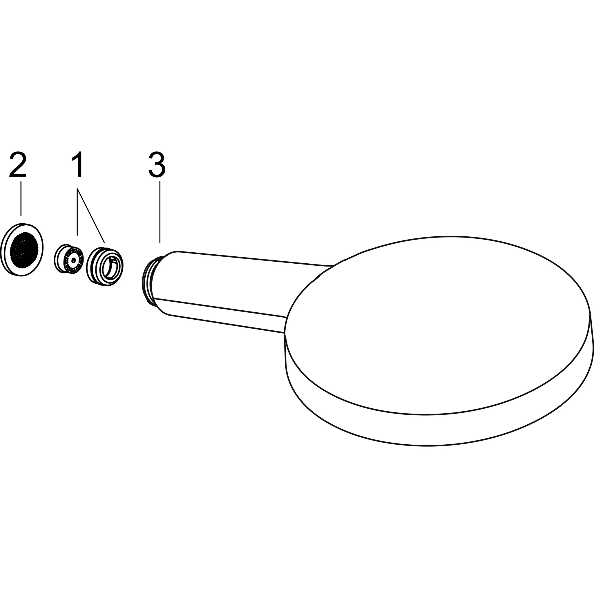 Handbrause Raindance Select S 120 EcoSmart chrom Handbrause Raindance Select S 120 EcoSmart chrom