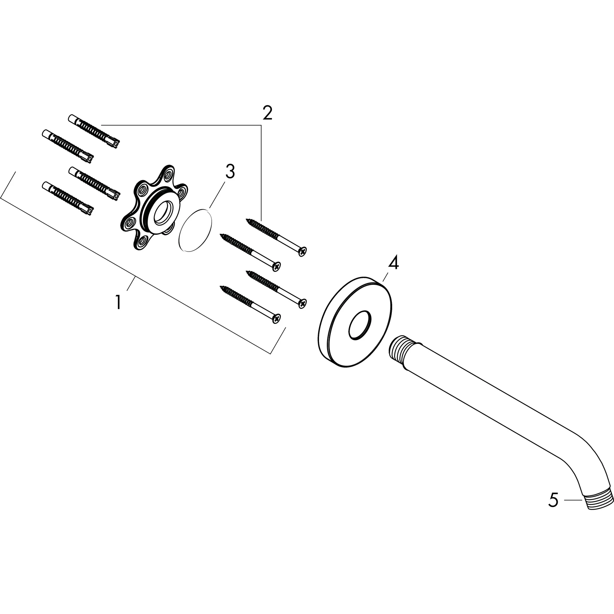 Hansgrohe Ansch/Halt ohne Brausearm Bonusfähiger Umsatz Hansgrohe Brausearm 23 cm, Chrom