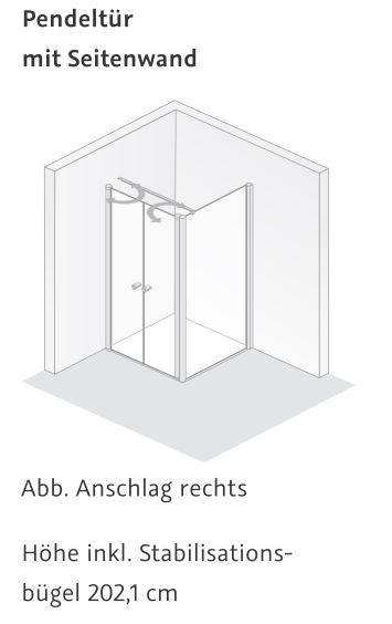 HSK Seitenwand „Exklusiv 2.0“ Glas Klar hell, Profile Alu Silber-matt, für #Türbreite#, H: 2000 mm HSK Seitenwand „Exklusiv 2.0“ Glas Klar hell, Profile Alu Silber-matt, für #Türbreite#, H: 2000 mm