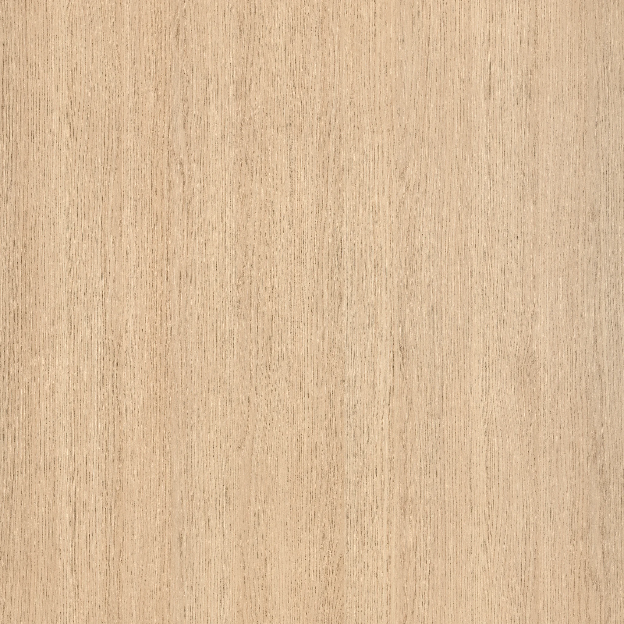 Eiche-Nordic Sanipa Abdeckplatte „2morrow“ in Eiche Nordic, 502 × 521 × 16 mm