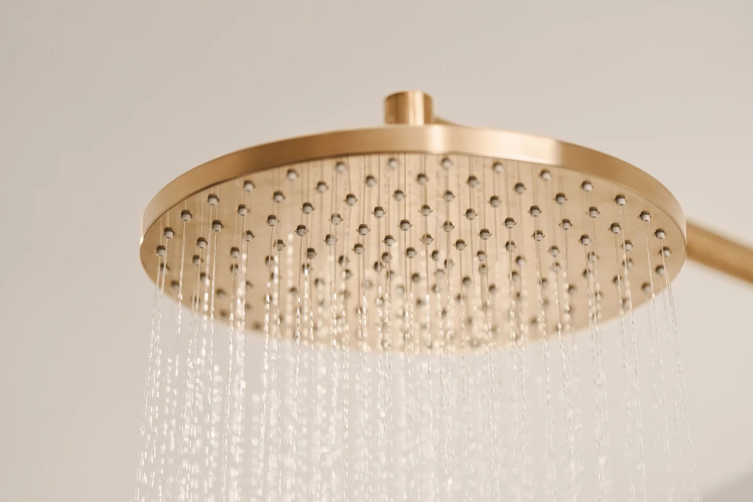 HansaVIVA Kopfbrause Hansaviva 2023 4426 1-strahlig d 250 mm Bronze gebürstet