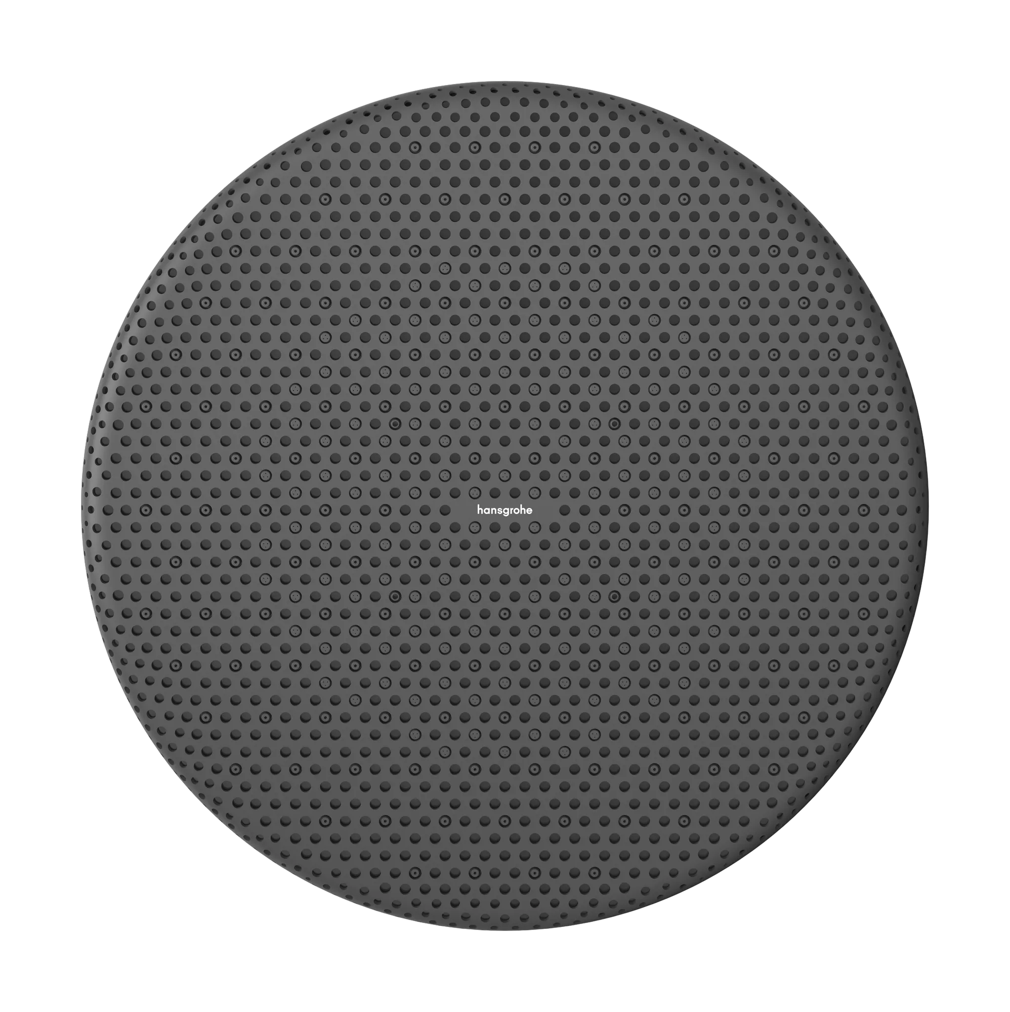 Hansgrohe Raindance Alive S Kopfbrause 300 2jet mit Brausearm, Chrom Hansgrohe Raindance Alive S Kopfbrause 300 2jet mit Brausearm, Chrom