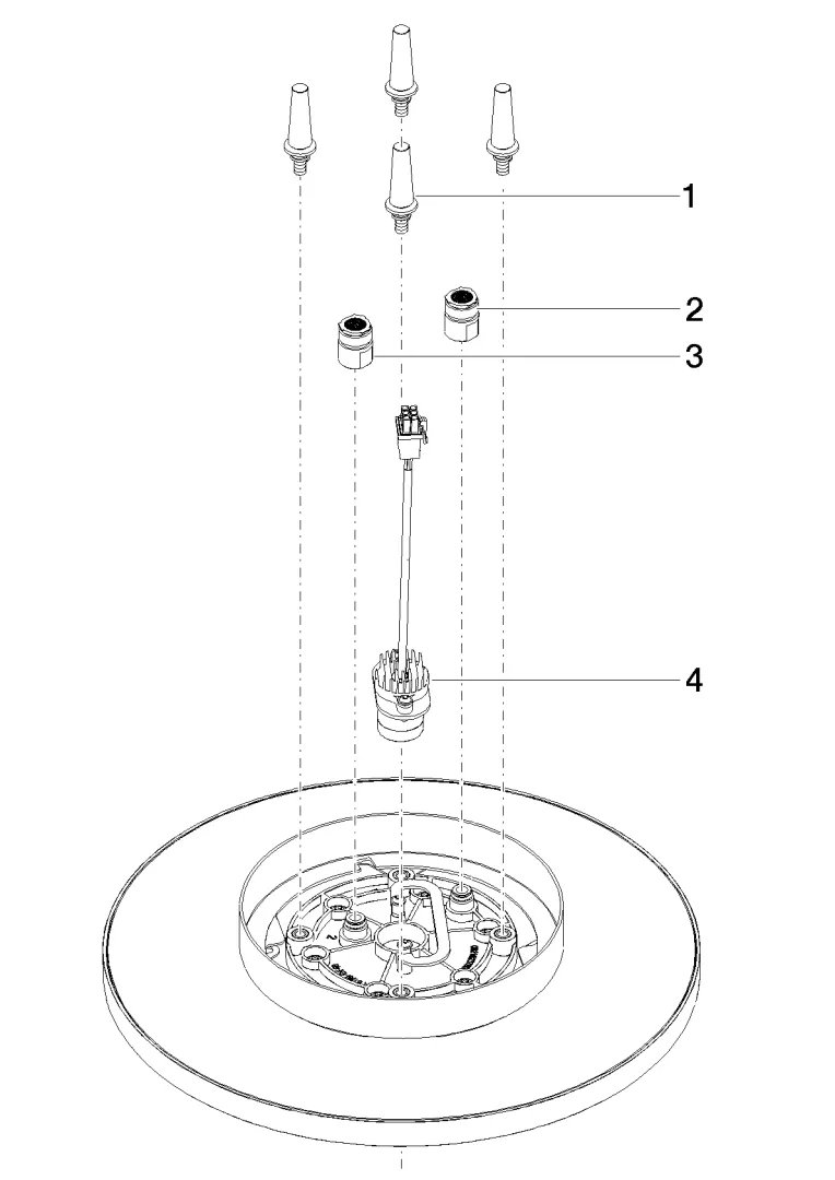 Dornbracht Regenbrause für Deckenanbindung mit Licht 300 mm - Champagne (22kt Gold) Dornbracht Regenbrause für Deckenanbindung mit Licht 300 mm - Champagne (22kt Gold)
