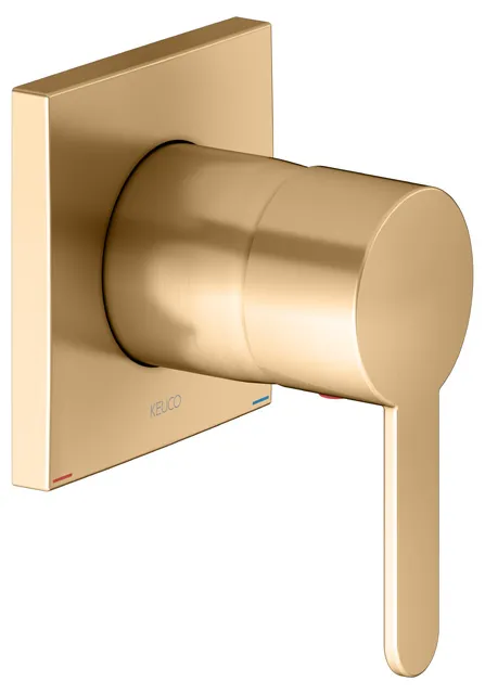 KEUCO IXMO Einhebelmischer Unterputz IXMO Flat mit eckiger Rosette/IXMO Flat Messing gebürstet