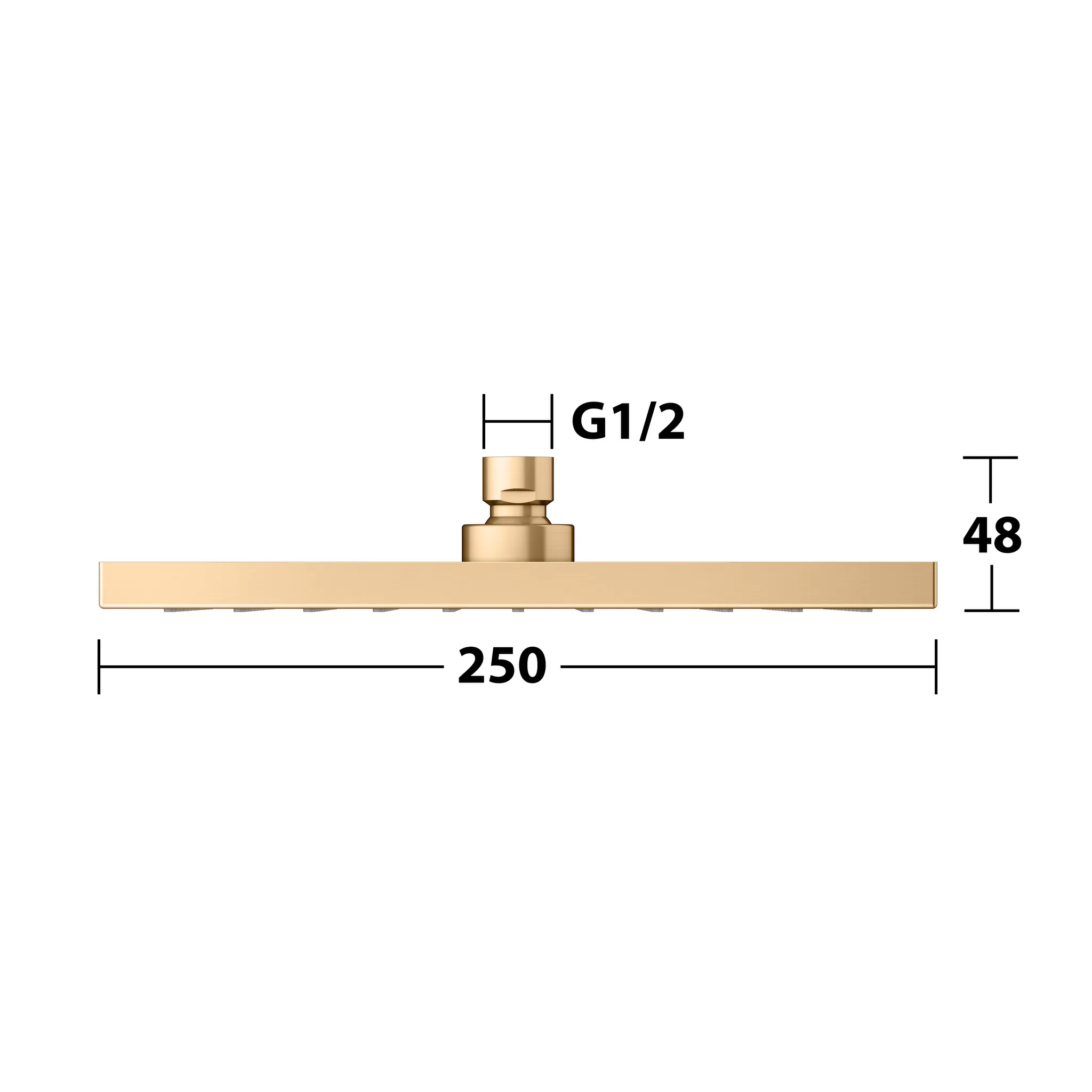 Brausen und Brausezubehör Kopfbrause eckig 250 x 250 mm Messing gebürstet Brausen und Brausezubehör Kopfbrause eckig 250 x 250 mm Messing gebürstet