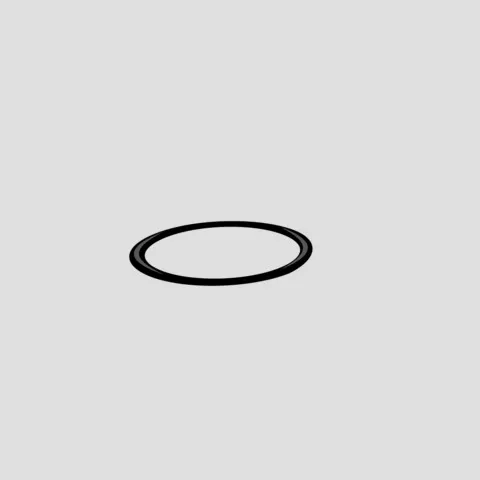 SANIT Ersatzrollring (45x4 mm)