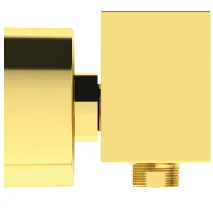 Brausearmatur Aufputz Extra Brushed Gold