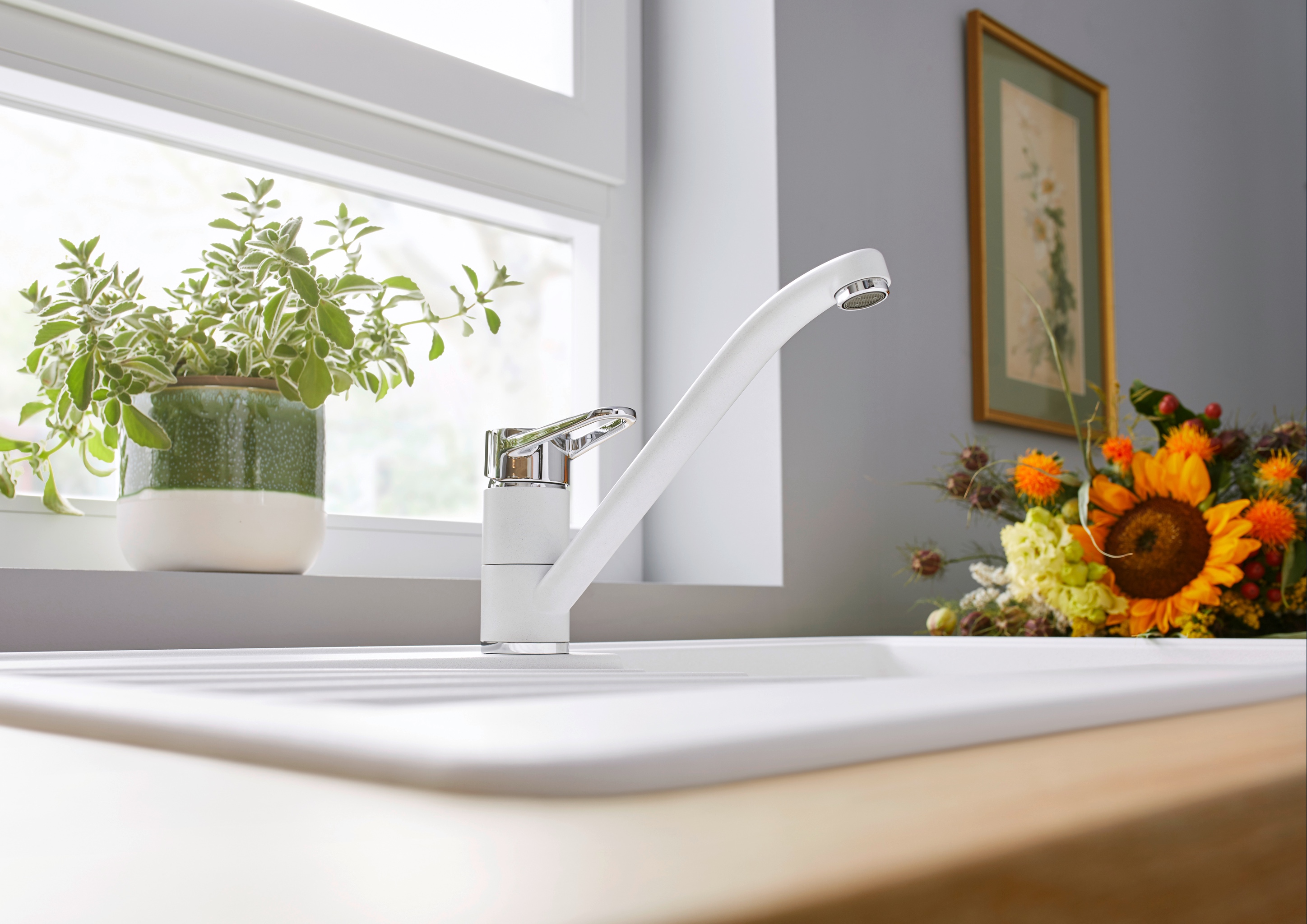 BLANCOWEGA II BLANCOWEGA II