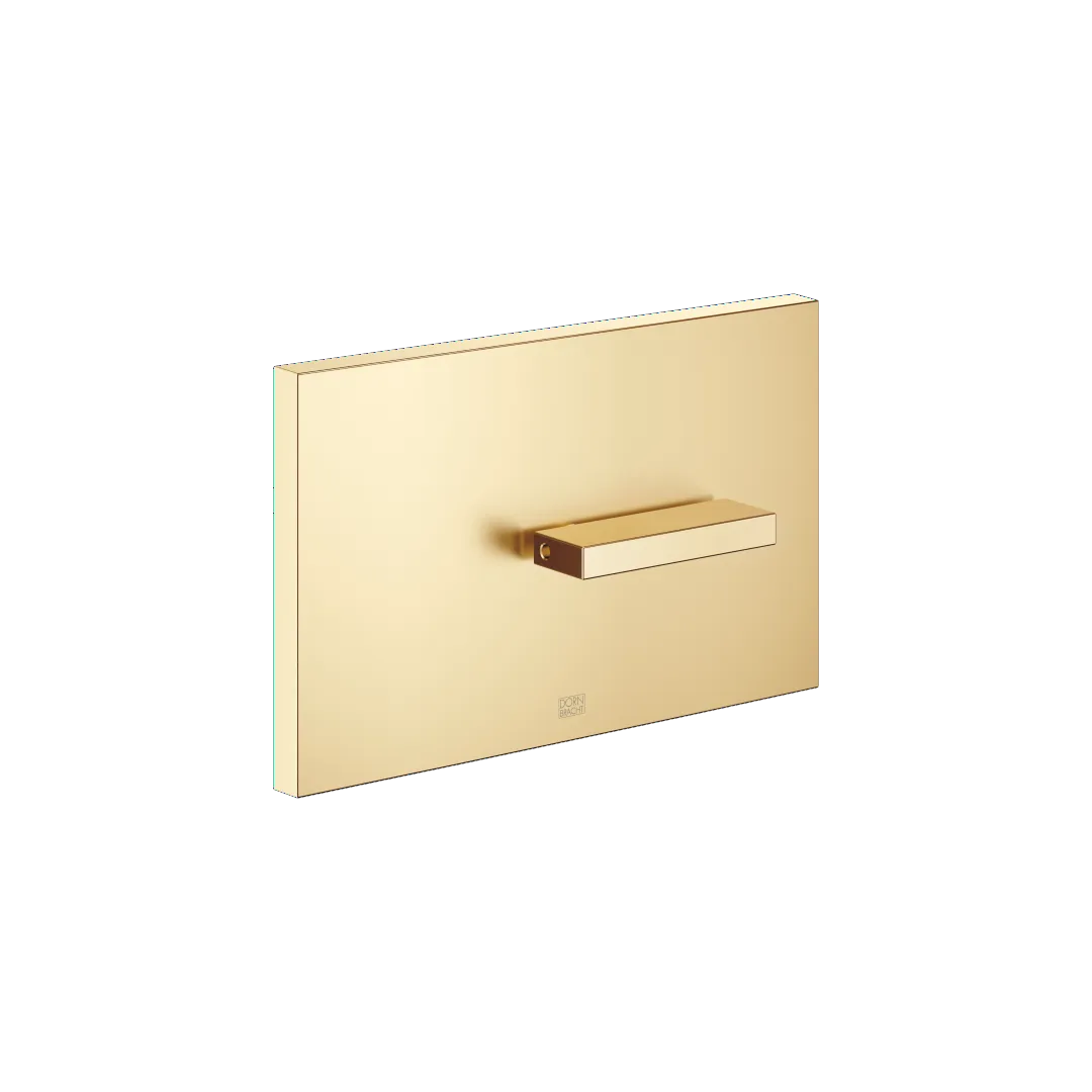 Dornbracht Abdeckplatte für WC-UP-Spülkasten SERIENNEUTRAL Messing gebürstet (23kt Gold), 150 x 240 x 15 mm, kompatibel mit TECEprofil Trockenbau und TECEbox Nassbau Dornbracht Abdeckplatte für WC-UP-Spülkasten SERIENNEUTRAL Messing gebürstet (23kt Gold), 150 x 240 x 15 mm, kompatibel mit TECEprofil Trockenbau und TECEbox Nassbau