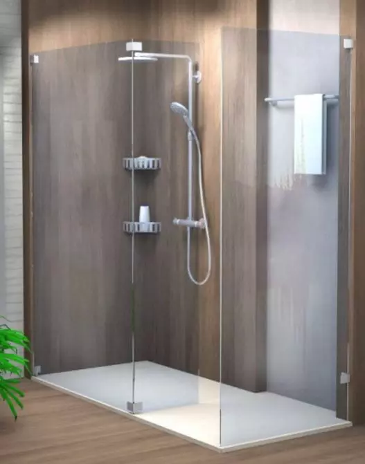 Sprinz Walk-In-Duschkabine Walk-In „Inloop“ rahmenlos B: 2000 mm H: 2100 mm T: 8 mm
