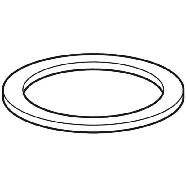 Dichtring