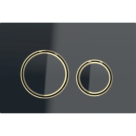 Sigma21 Betätigungsplatte für 2-Mengen-Spülung, Metallfarbe Messing: Messing, schwarz Sigma21 Betätigungsplatte für 2-Mengen-Spülung, Metallfarbe Messing: Messing, schwarz