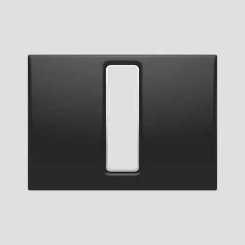 SANIT Tastenrahmen WC Bright Duro schwarz SANIT Tastenrahmen WC Bright Duro schwarz