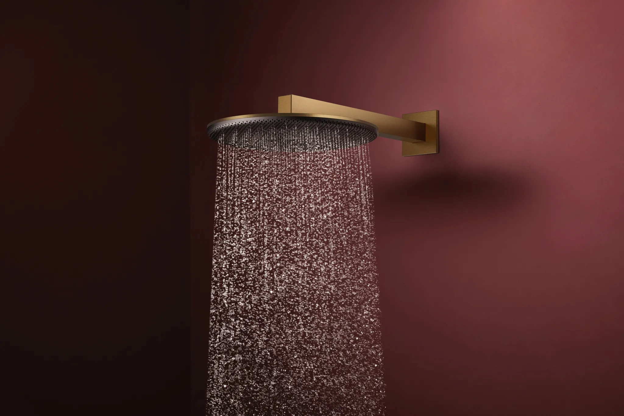 Hansgrohe Raindance Alive S Kopfbrause 300 mm, 2 Strahlarten, Brausearm 390 mm, Brushed Bronze Hansgrohe Raindance Alive S Kopfbrause 300 mm, 2 Strahlarten, Brausearm 390 mm, Brushed Bronze