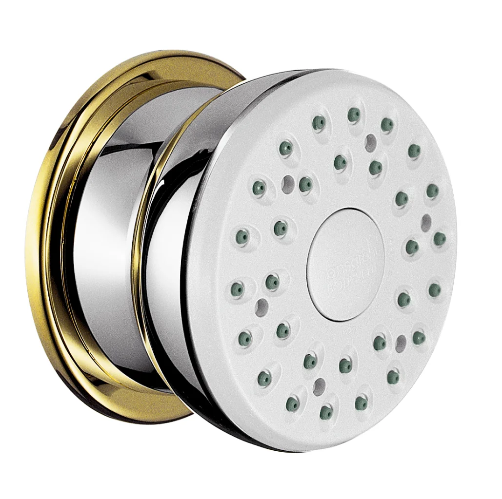 Hansgrohe Bodyvette Seitenbrause chrom, 60 mm Brausekopfgröße, verstellbarer Winkel, Rain Strahl, für Durchlauferhitzer geeignet
