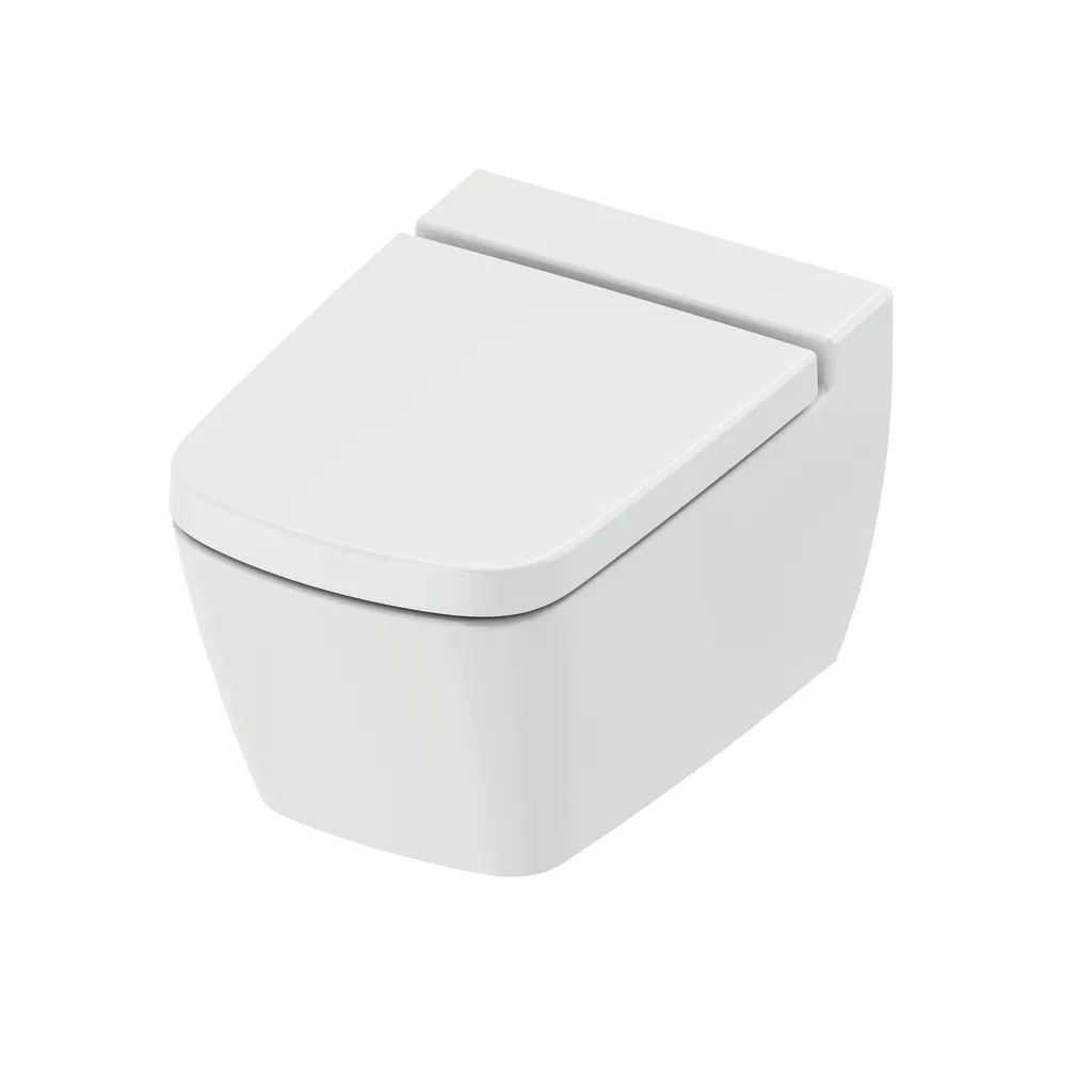 TECE Dusch-WC „one“, Befestigung verdeckt, ohne Spülrand TECE Dusch-WC „one“, Befestigung verdeckt, ohne Spülrand