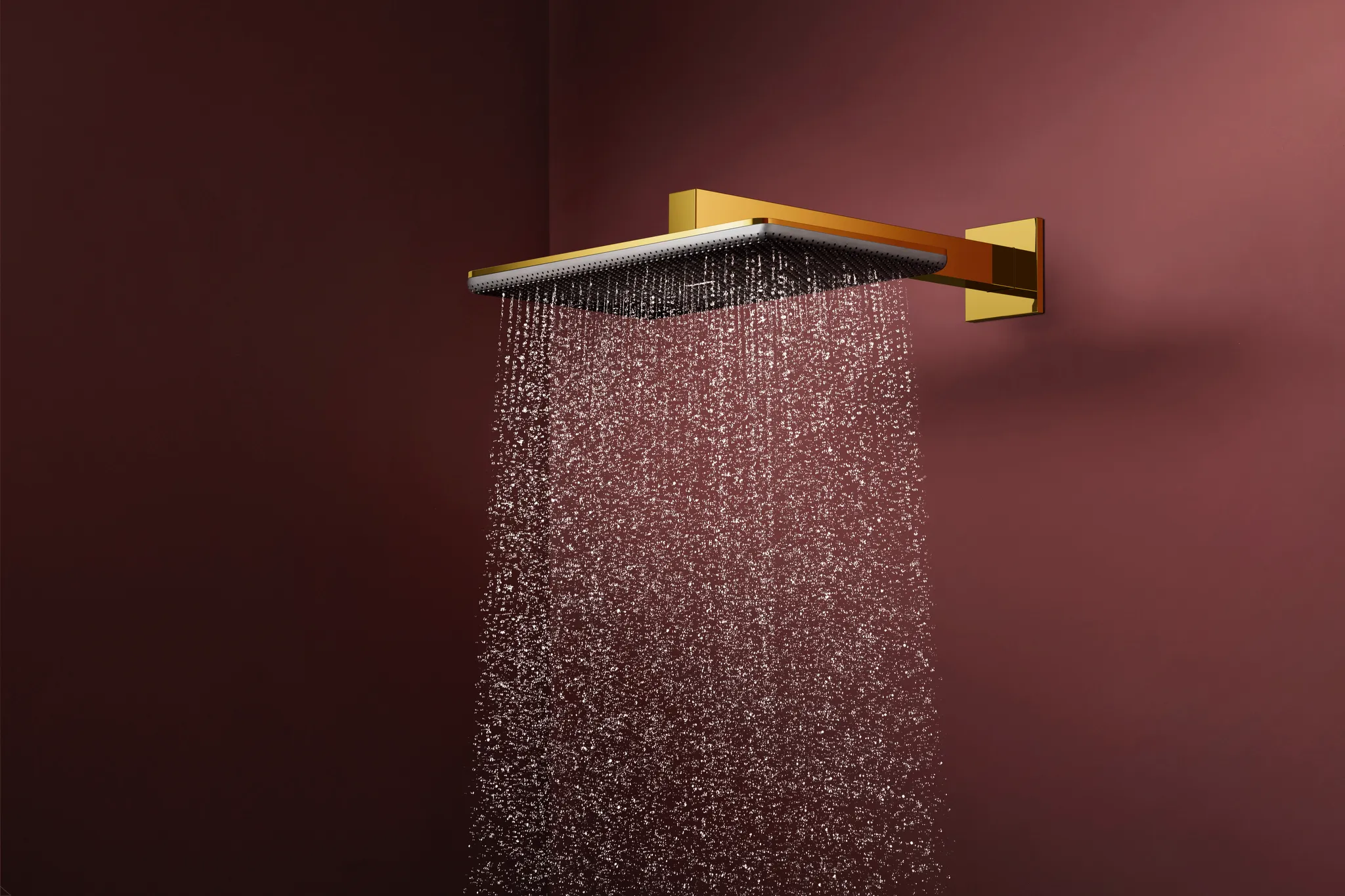 Duschkopf „Raindance Alive Q“ in Polished Gold Optic