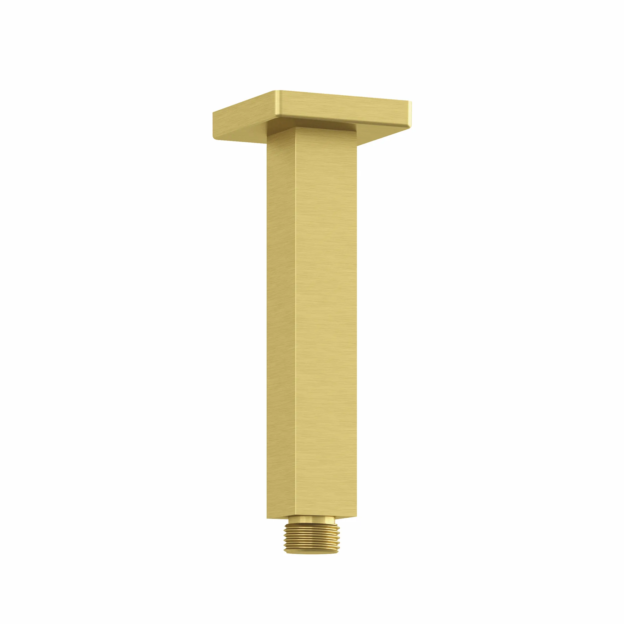 Kludi A-QA Deckenauslass 150 mm, eckig, Brushed Gold – Wand-Brausearm 250 mm DN 15, G 1/2 Zoll, für Kopfbrausen mit Schubrosette