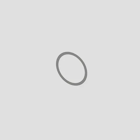 SANIT O-Ring 19 × 3 mm
