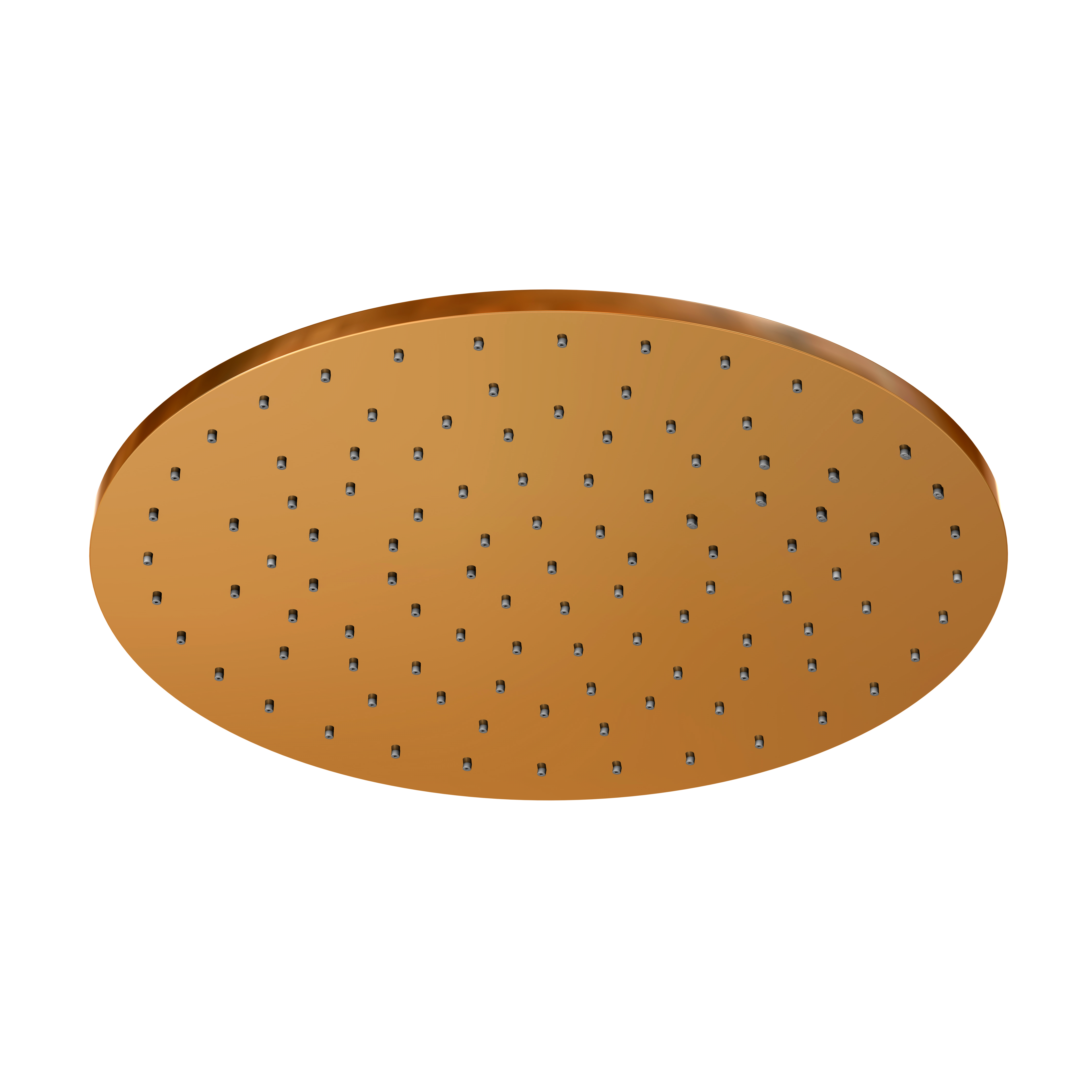 Serie 100 Regenbrause ⌀ 30 × 0,8 cm Serie 100 Regenbrause ⌀ 30 × 0,8 cm