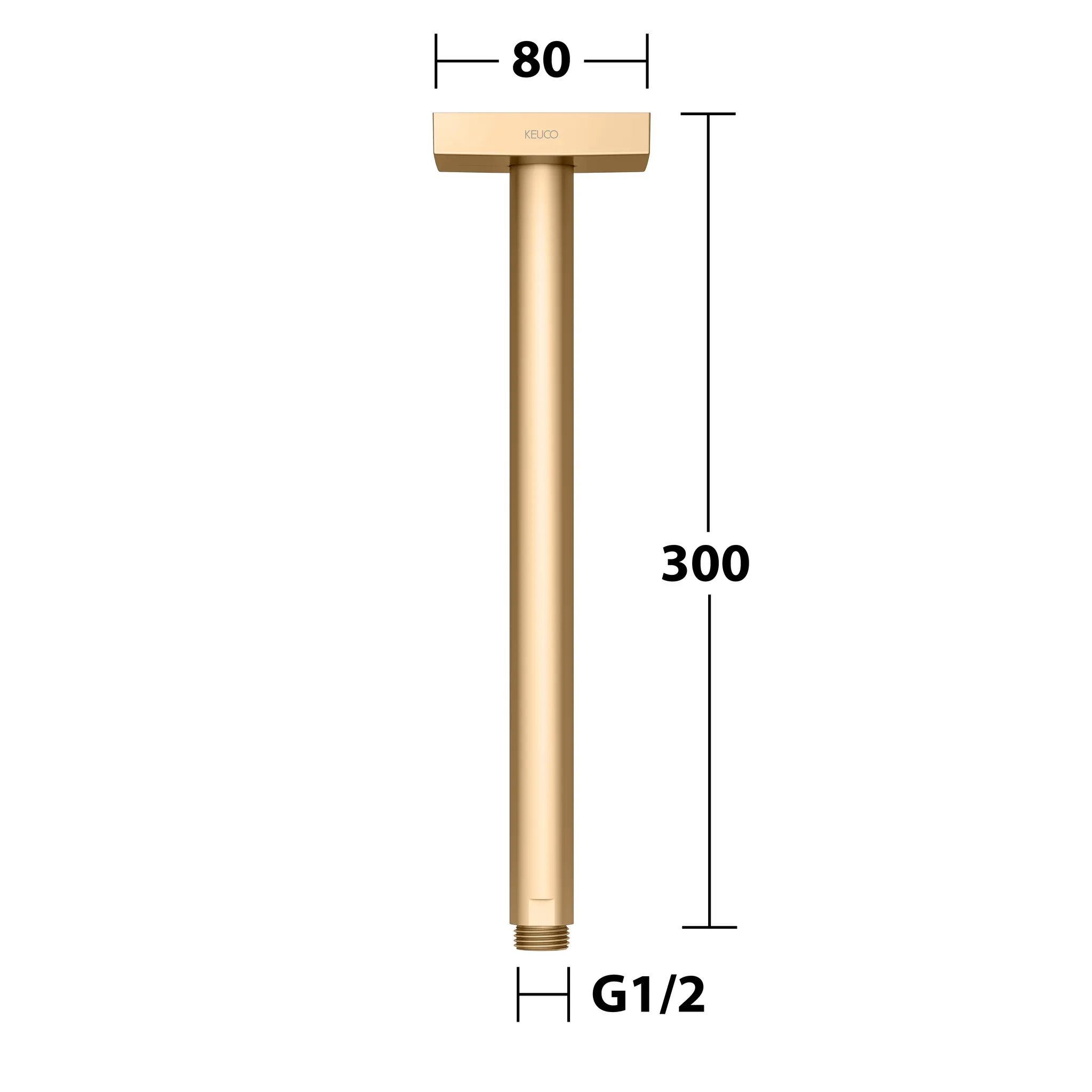 Brausen und Brausezubehör Brausearm Deckenanschluss 300 mm Messing gebürstet Brausen und Brausezubehör Brausearm Deckenanschluss 300 mm Messing gebürstet