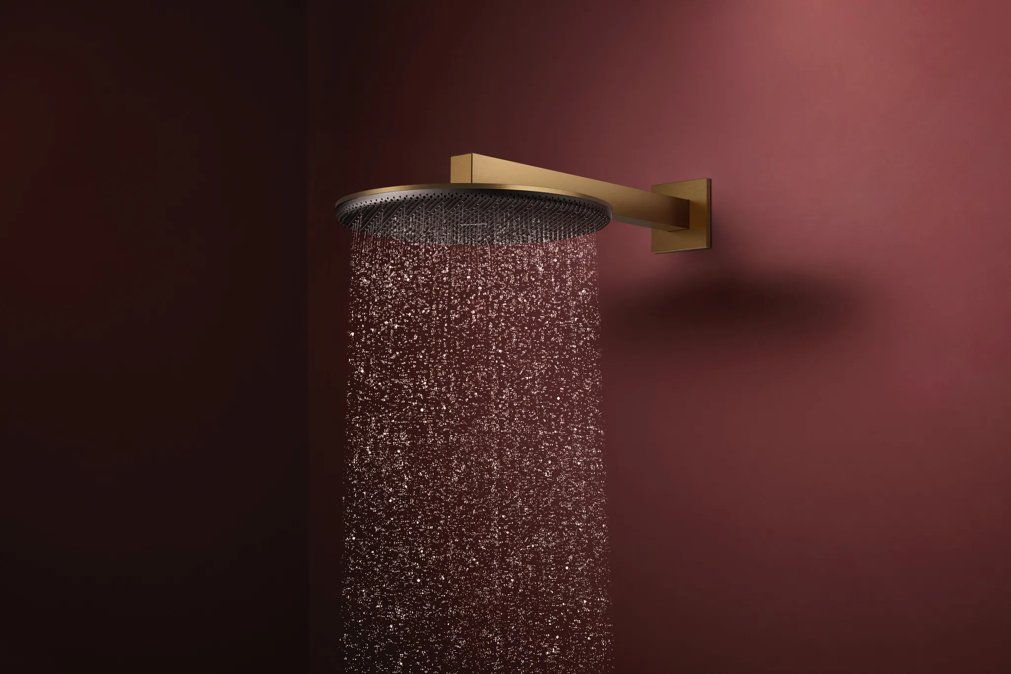 Duschkopf „Raindance Alive S“ in Brushed Bronze