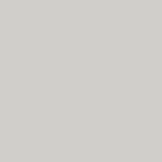 Light Grey Matt Lacquer