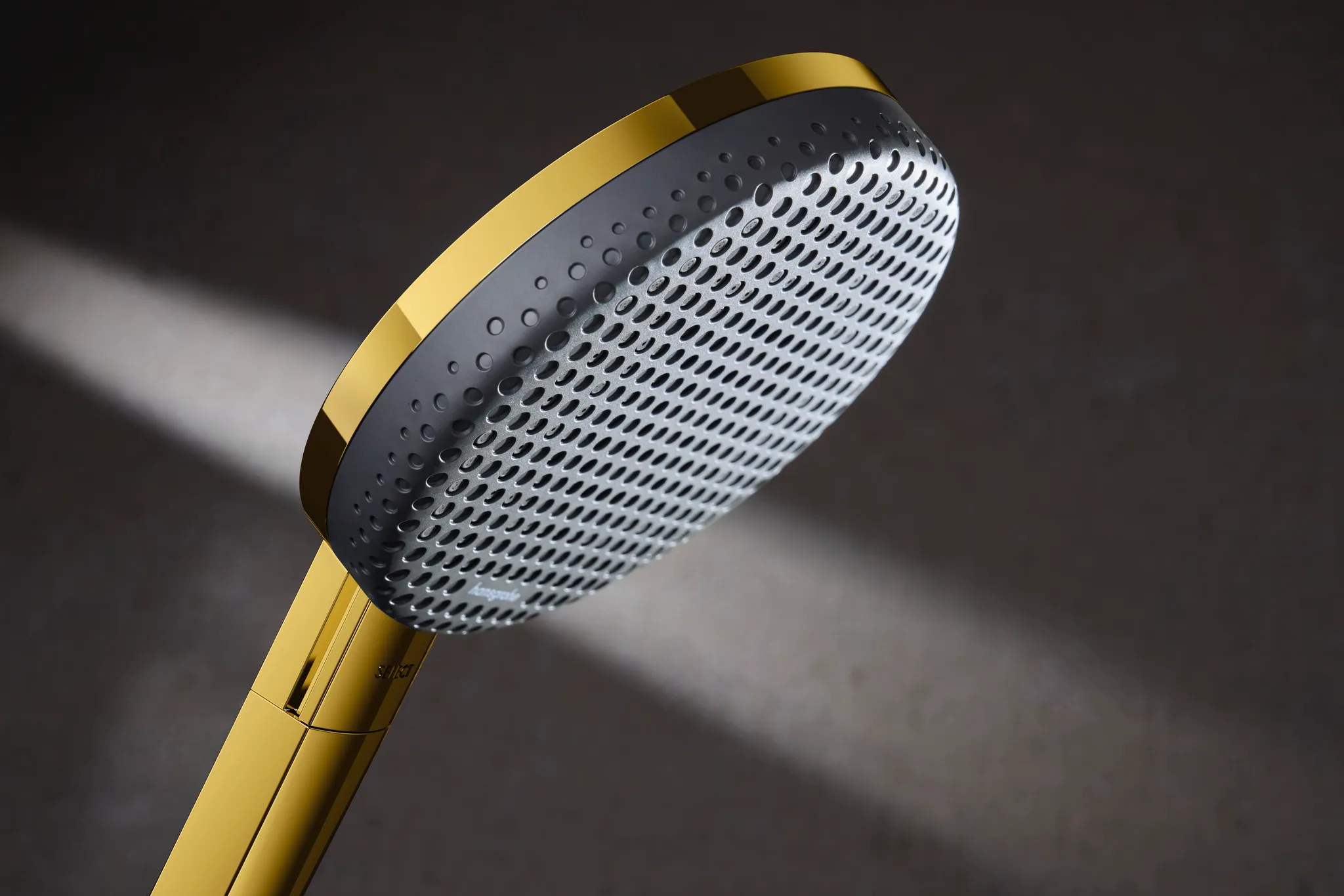 Gleitstangekombination „Raindance Alive Select“, Befestigung verdeckt in Polished Gold Optic Gleitstangekombination „Raindance Alive Select“, Befestigung verdeckt in Polished Gold Optic