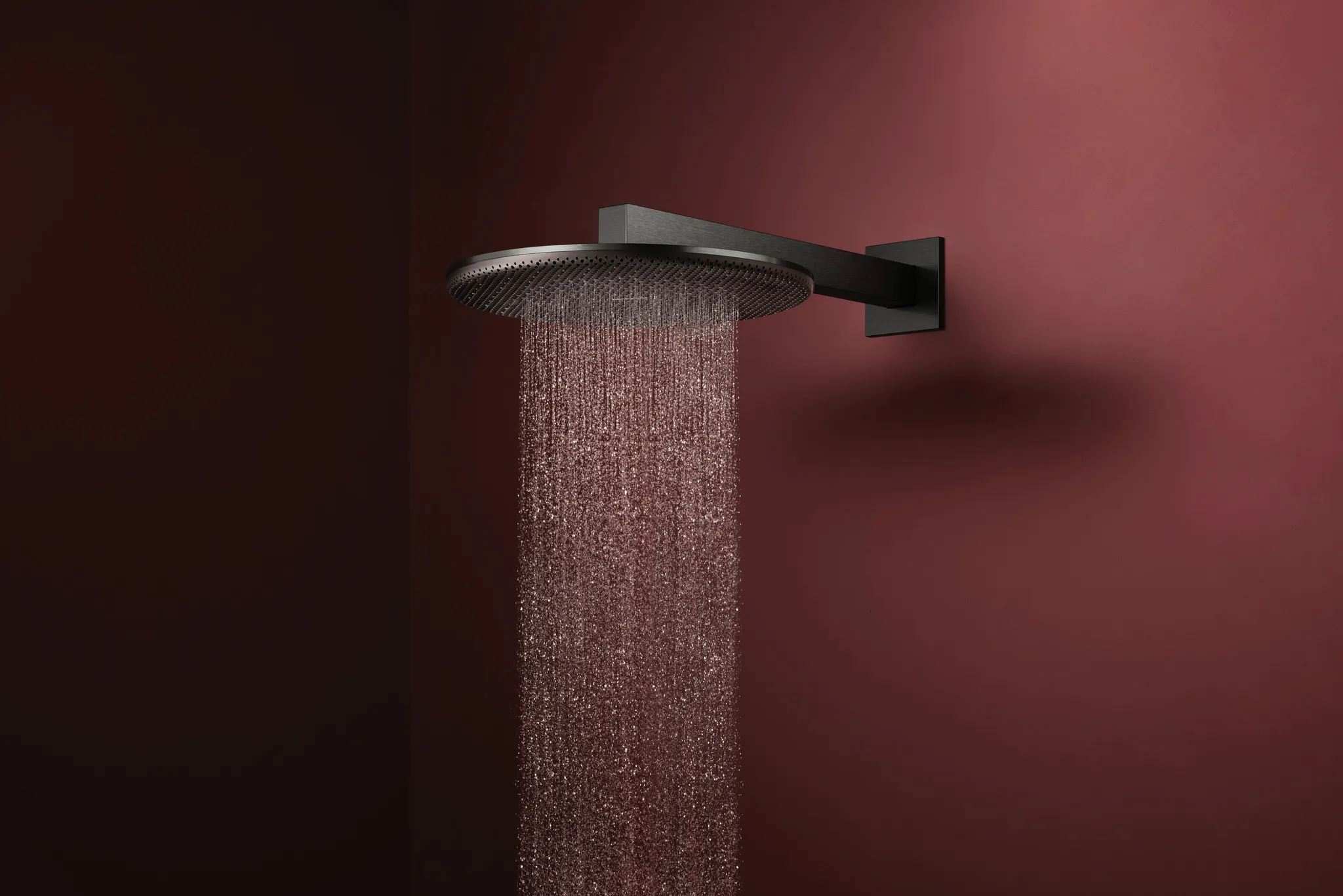 Duschkopf „Raindance Alive S“ in Brushed Black Chrome Duschkopf „Raindance Alive S“ in Brushed Black Chrome