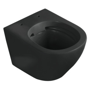 Set Wand-WC mit WC-Sitz spülrandlos „Delos BLM“ 370 × 365 × 485 mm